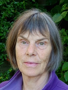 Dette Koenders