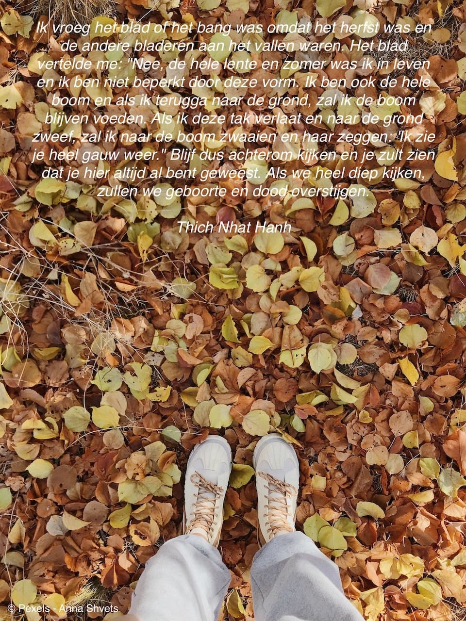 02September