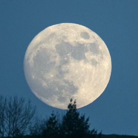 Moonfulness Bell nog een keer...