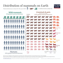 Genieten van lekkernijen zonder dierenleed