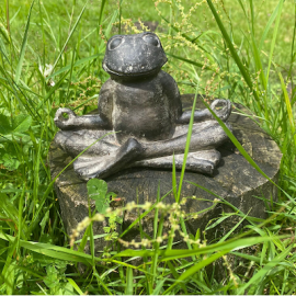 Beginnen met de beginner’s mind