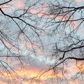 De acht windrichtingen van natuurlijk bewustzijn