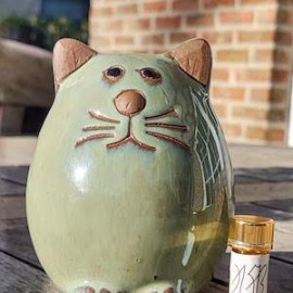 Wat een kat ons wijs gemaakt heeft.