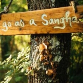 Lessen van Thay (3/3): Toevlucht nemen in de sangha 