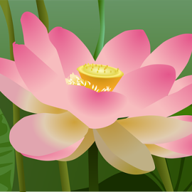 Lotushart, nieuwe online sangha voor soetrastudie