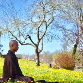 6-9 mei: Lente retraite online met kloosterlingen Plum Village