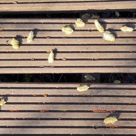 Jouw intieme plek in de natuur